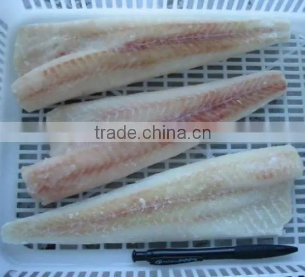 frozen alaska pollock fillet