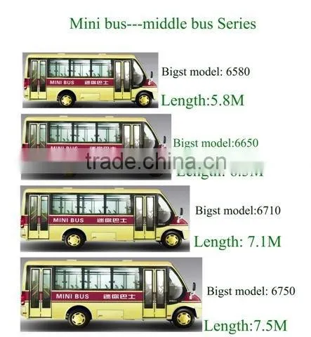 Minibus SKD Parts Assembling Line for Sale