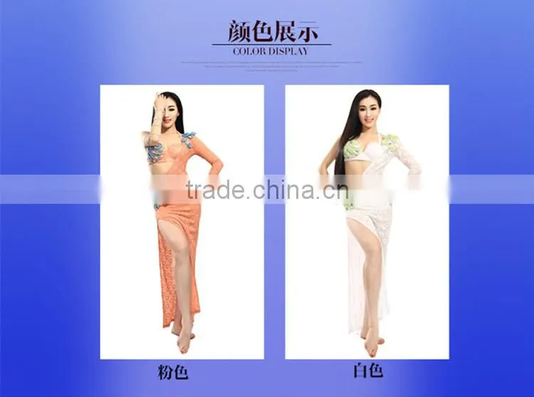 Lace Sexy Belly Dance Costume, Belly Dance Bra and Dress Set QC2258
