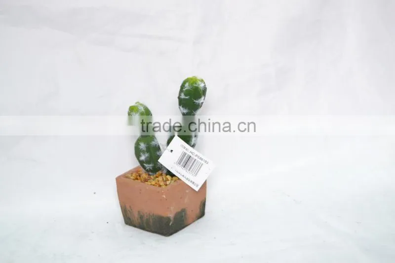 Mini Cactus with cement pot for decoration