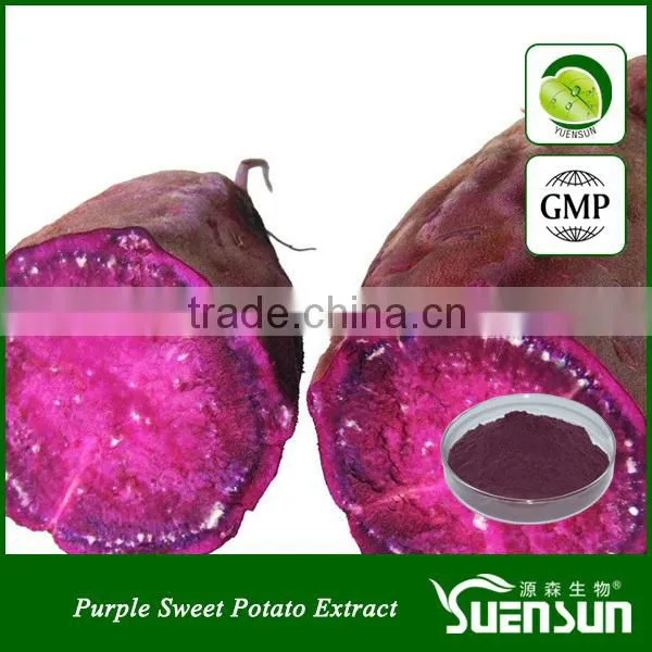 High quality purple sweet potato color anthocyanin color powder