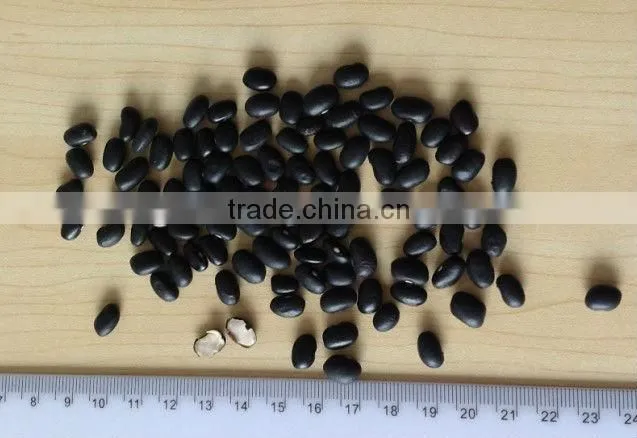 black bean geen inside