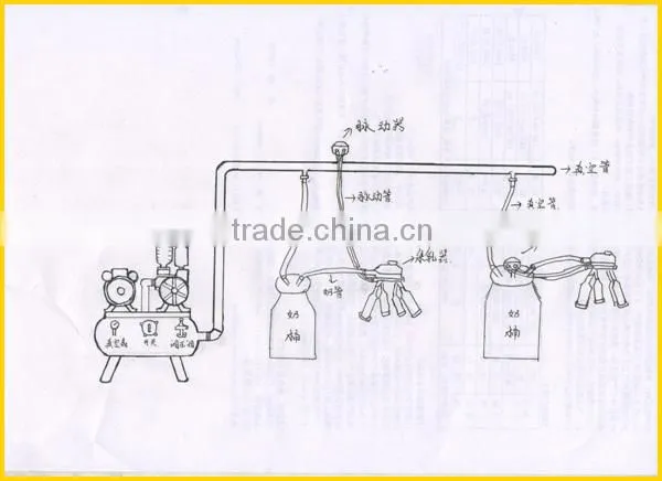 pipeline milking machine group two buckets