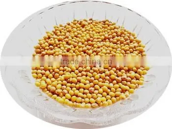 JSX chinese yellow mung beans sprouting grade mung dal