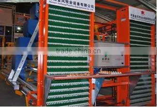 automatic layer egg collection system