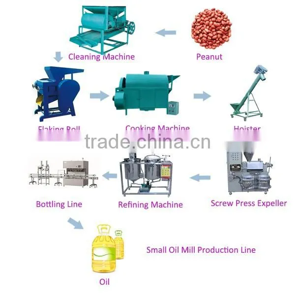 AS416 high output cold oil press machine sunflower cold press machine