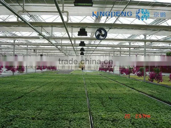 PC Sheet Greenhouse for Vegetable-Growing