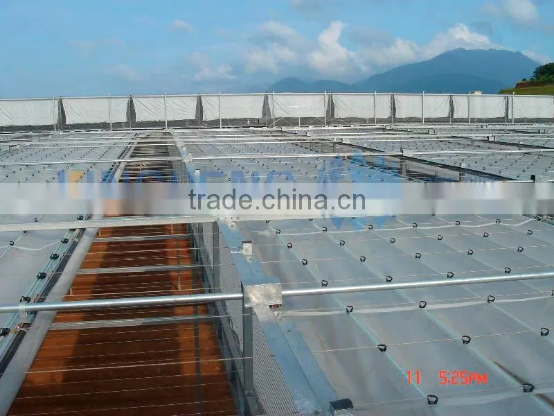PE Plastic Film Greenhouse