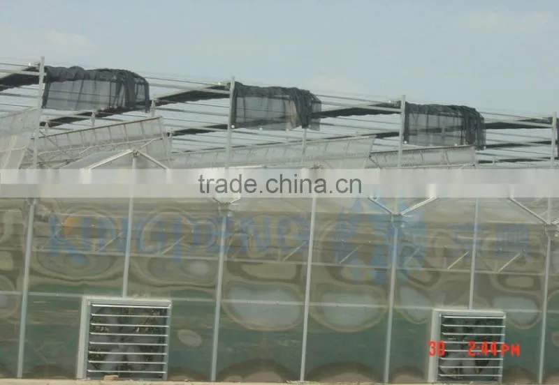 Fully openable roof film greenhouse ISO9001:2000