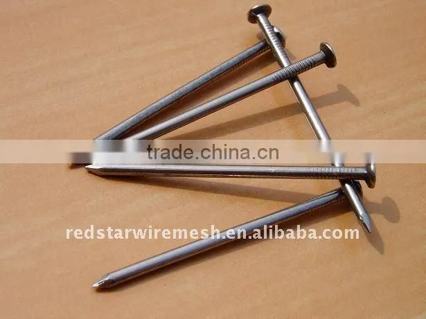 Galvanized Iron Common Nails&common nail iron nail factory