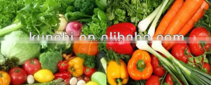 Hot sale vegetable dehydration machine