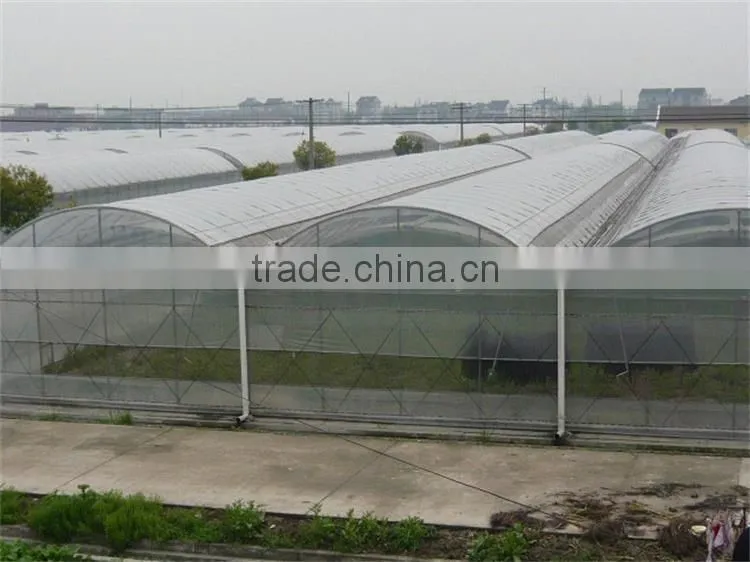 Commercial Plastic hoop vegetable greenhouse