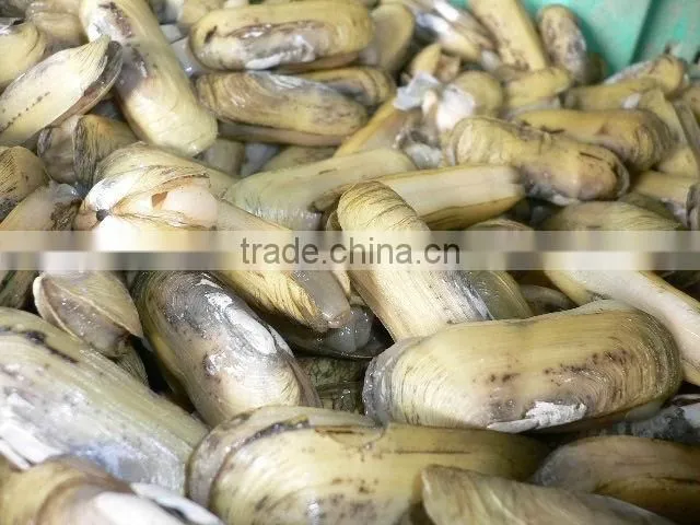 Frozen Best Sea Foods Razor Clam Meat
