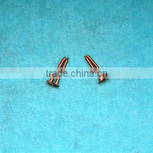 concrete brass nail