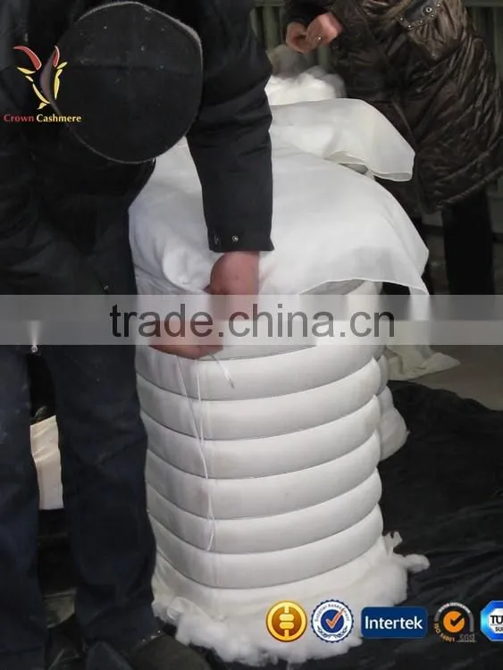 Best Origin of Cashmere Fibres Chinese