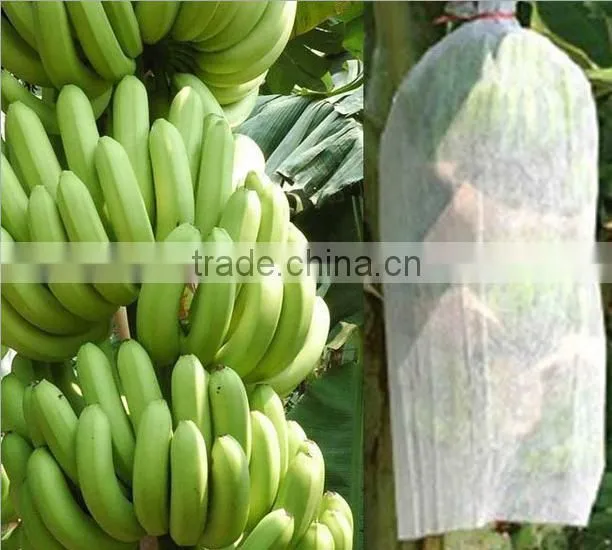 PET Agriculture non-woven polyester