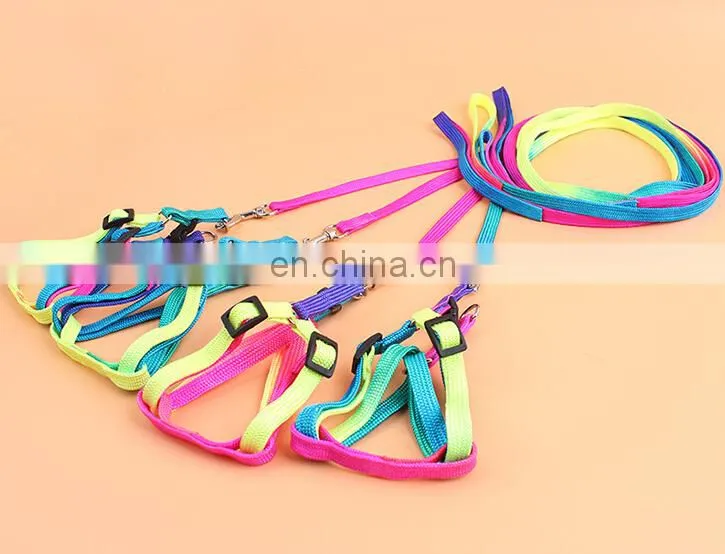 dog collar