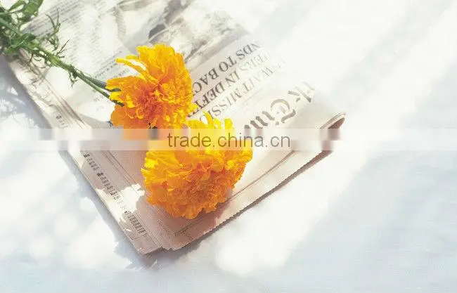 hot sale Customized Fashion offset catalogue printing