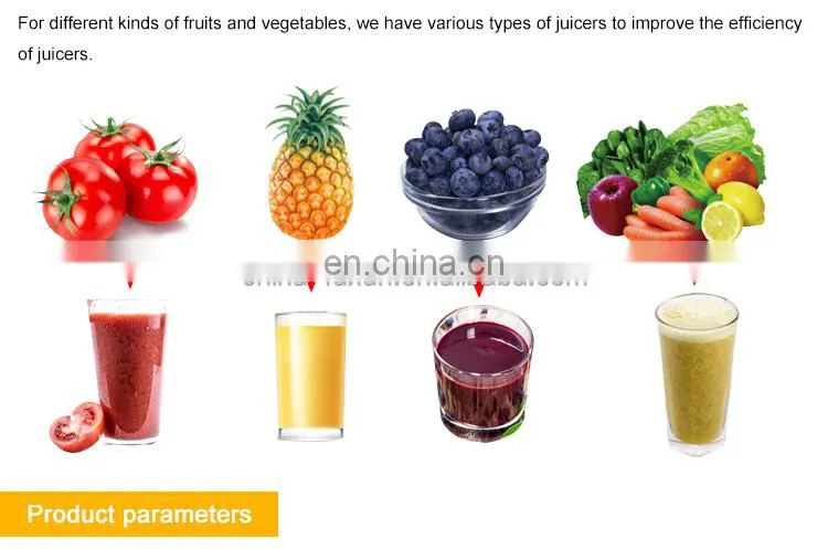 Commercial Fruit Juice Making Machine / Apple Watermelon Pineapple pomegranate Juice