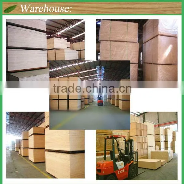 Plywood/ film faced plywood/commercial plywood
