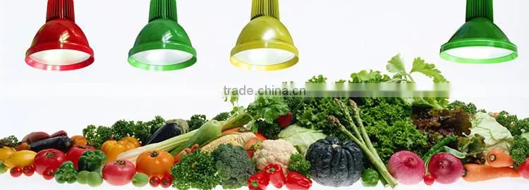 pf0.9 cri85 high ra 25w 2 years led fresh light