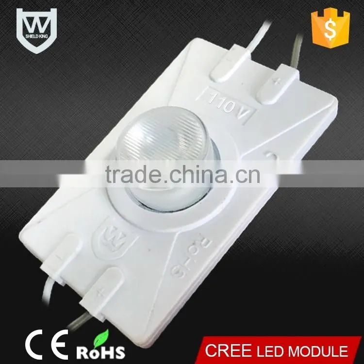 No need power supply IP65 waterproof 3W AC110V 4040 injection led light modules white LED module
