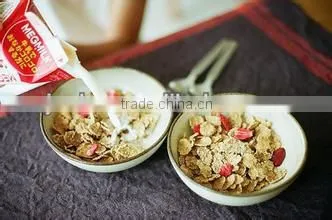 high quality low consumption factory selling healthy Corn Flakes/Breakfast Cereals making equipment