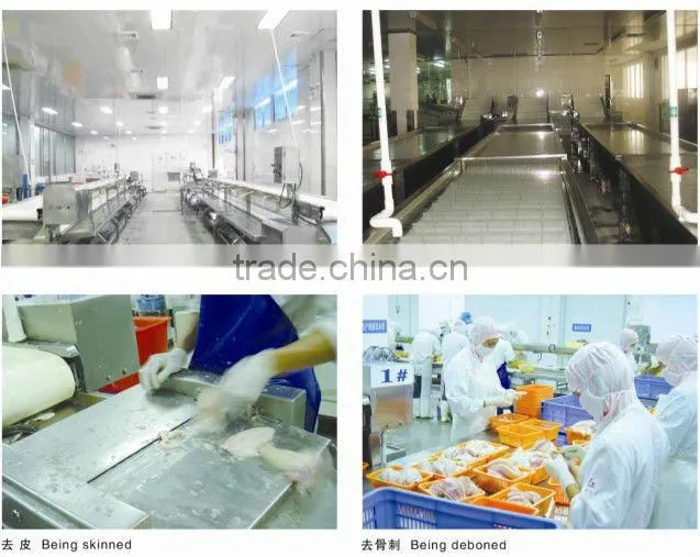 bluk tilapia fish fillet wholesale price 3-5 oz
