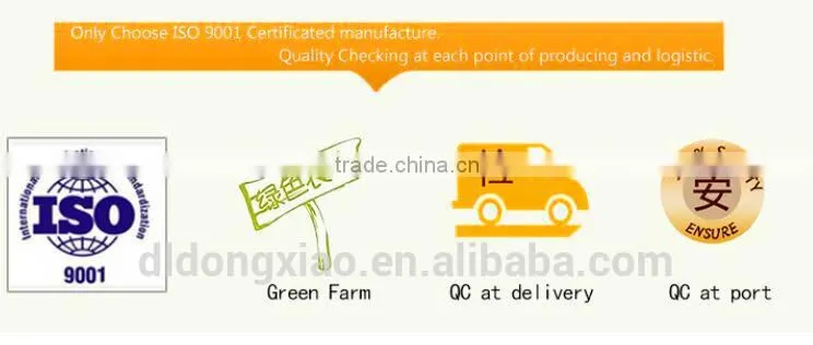 High Quality Raw Sunflower Seeds for Oil Price