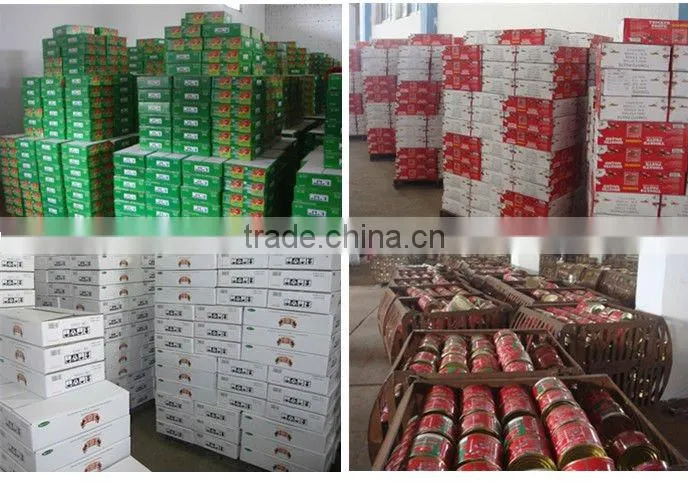 China Hot Sell Canned tomato paste 70g*100tins,food tin can making machine