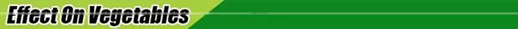 Huminrich Solubility High Quality Increase Vegetable Yield Potassium Humate Fertilizer