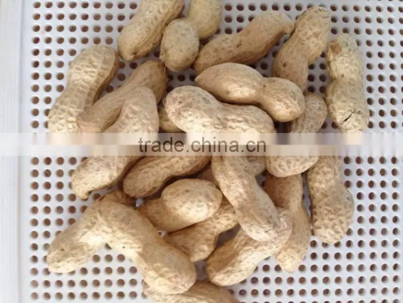 Chinese peanut kernels in shell with high quality for sale