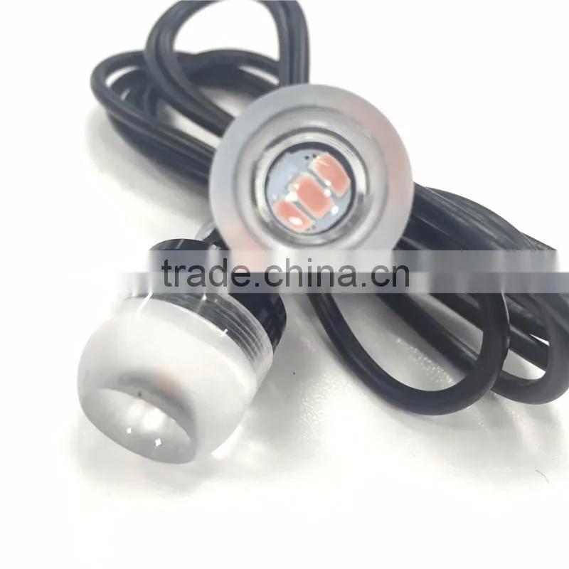Jinxin License Plate Bolt Lights Black- Universal Truck and All Motorcycles