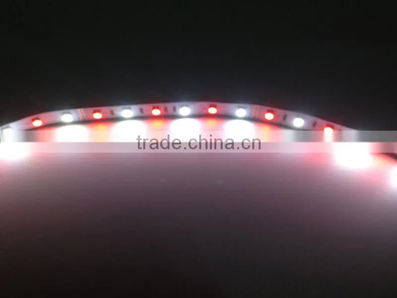 RGBW Double Row SMD5050 SMD3528 Waterproof Led Strip Light