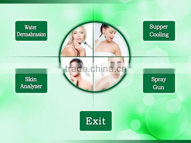 GuangZhou 5 in 1 Multifuction Skin Care Facial Analyser Machine