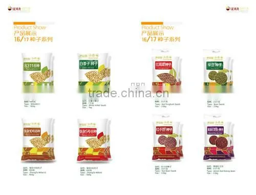 zhangjiakou Origin bitter apricot kernel for sale