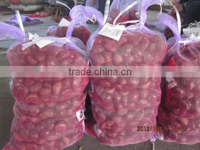 price chestnuts of 2013
