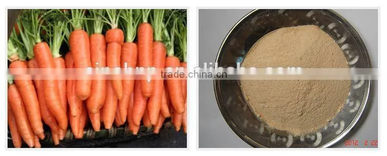 Organic Vegetable Powder Dried Carrot Powder