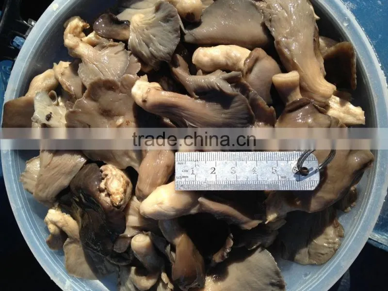Pleurotus in brine