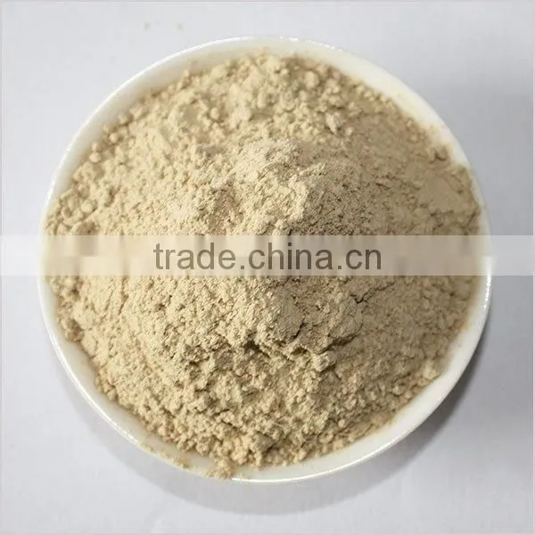 ground rhizoma kaempferiae