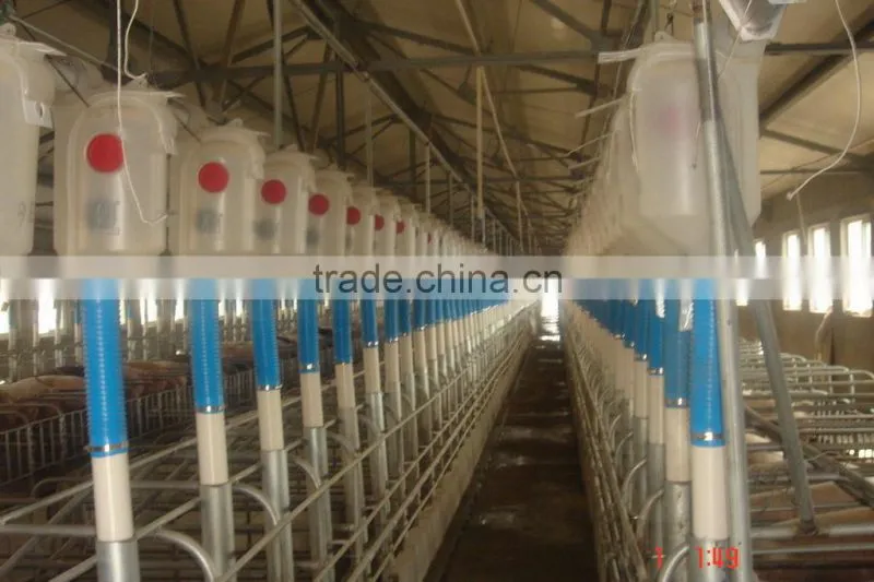 classci design anti uv plastic&stainless steel finishing pig feeder