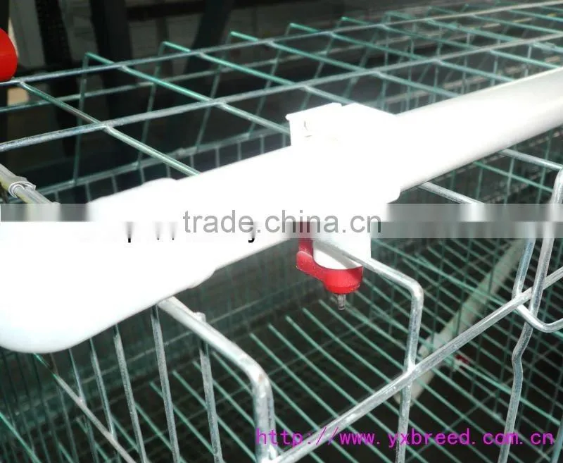 poultry layer cage for chicken