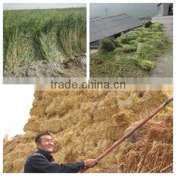 Cattle Feeding Wheat Straw Crusher Corn Straw Crushing Machine Chaff Cutter