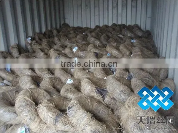 Black annealed wire/ galvanized iron wire