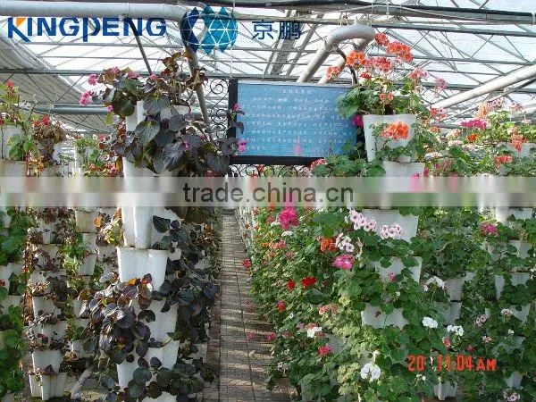 Multi Span PC sheet Greenhouse