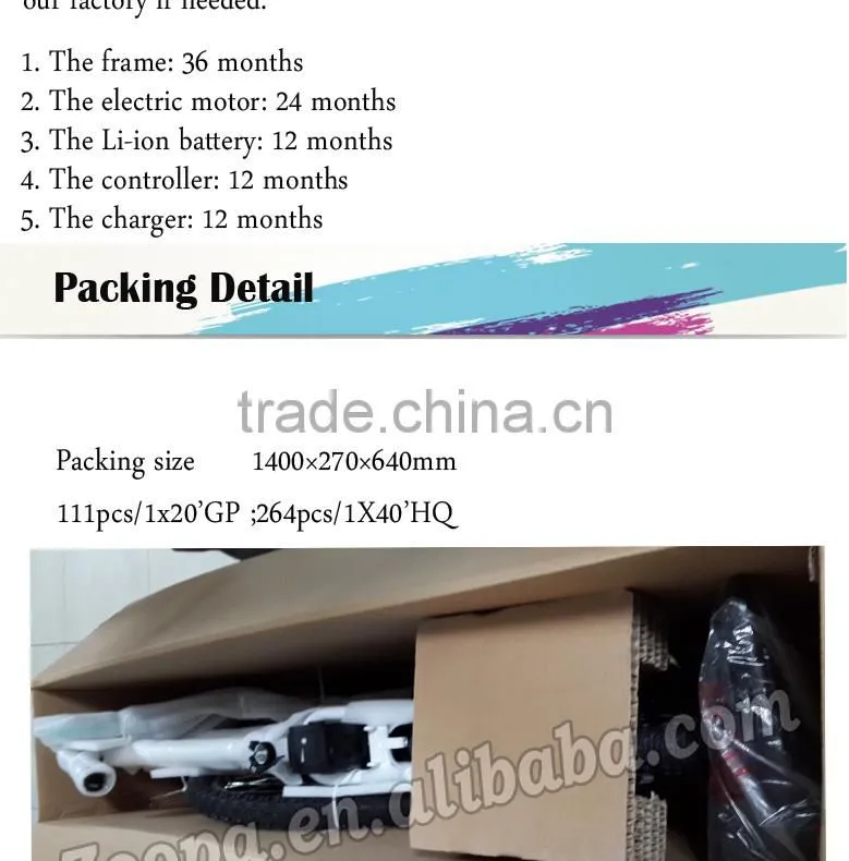New Mini Folding electric bike (Model No.: ZP-TDN04Z), Easy carry