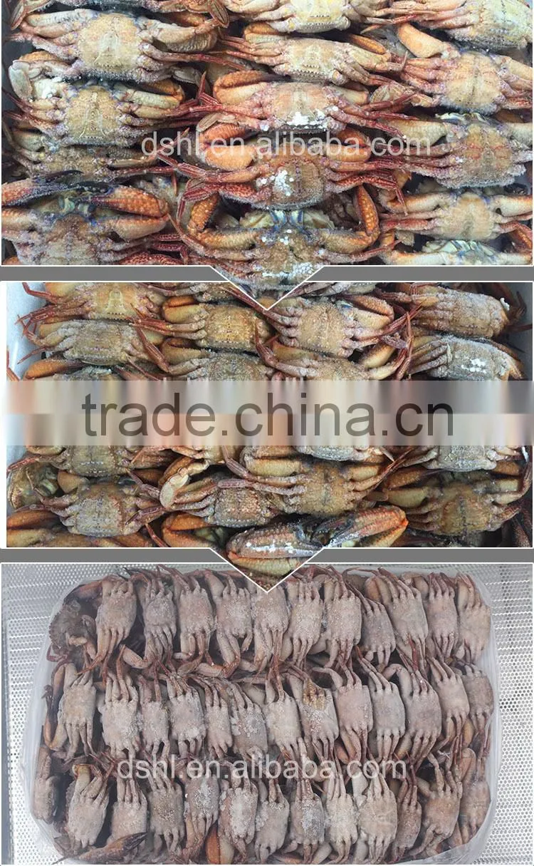 Frozen Black Crab,Frozen Crab,
