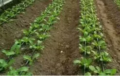 Lai Wu Sweet Dew Water Saving Equipment Co.ltd company overview - view 3