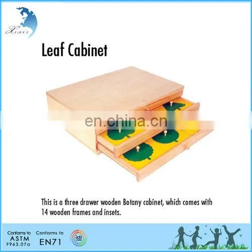 Leaf Cabinet Wooden Educational Montessori Teaching Aids For Children