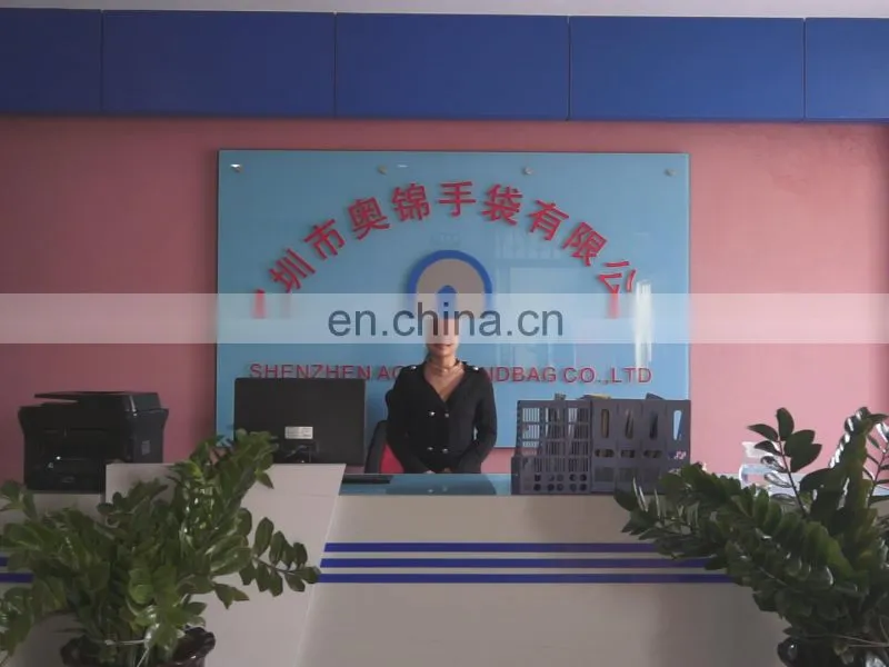Shenzhen Aojin Handbag Co., Ltd. company overview - view 1